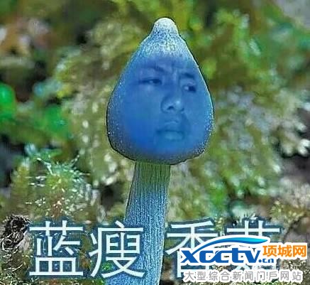 藍(lán)瘦,香菇什么意思 又一網(wǎng)紅誕生狠甩papi醬王思聰十八條街